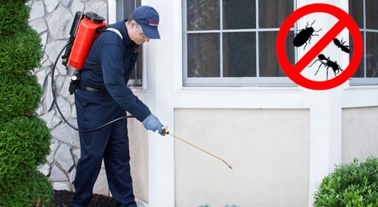 Asarlık Kene İlaçlama böcek ilaçlama ve haşere kontrolü — ilaclama-tr.com